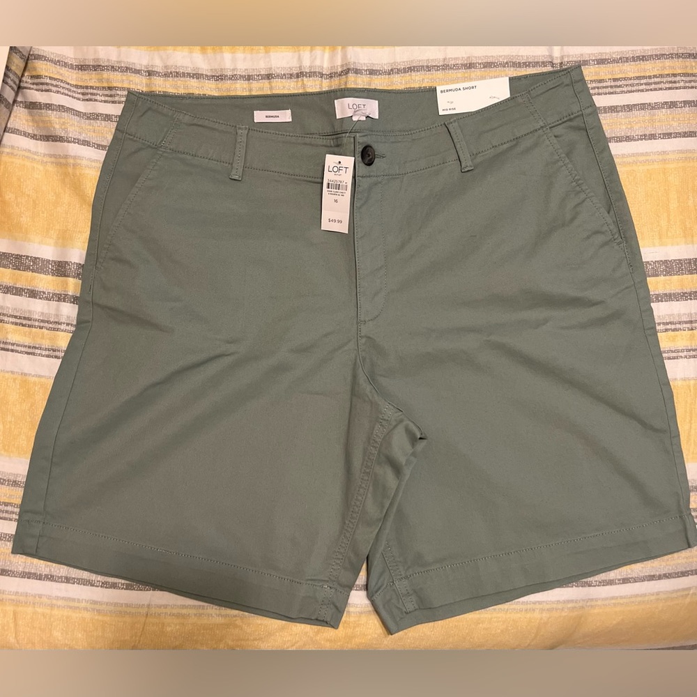 Loft Bermuda Shorts (2)
